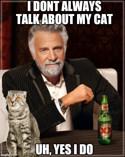 I DON'T ALWAYS TALK ABOUT MY CAT | I DONT ALWAYS TALK ABOUT MY CAT; UH, YES I DO | image tagged in memes,the most interesting man in the world,cat | made w/ Imgflip meme maker