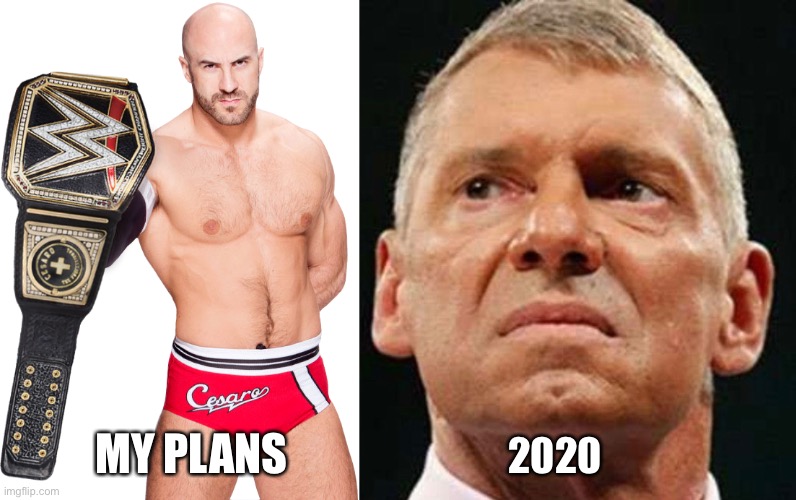 Grab that brass ring! | MY PLANS; 2020 | image tagged in wwe,vince mcmahon | made w/ Imgflip meme maker