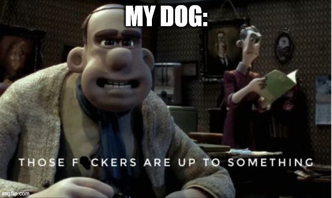 MY DOG: | made w/ Imgflip meme maker