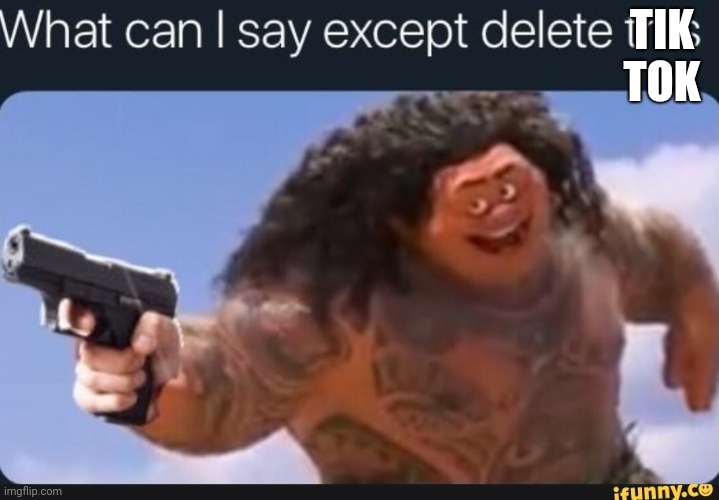 What can I say except delete this | TIK TOK | image tagged in what can i say except delete this | made w/ Imgflip meme maker