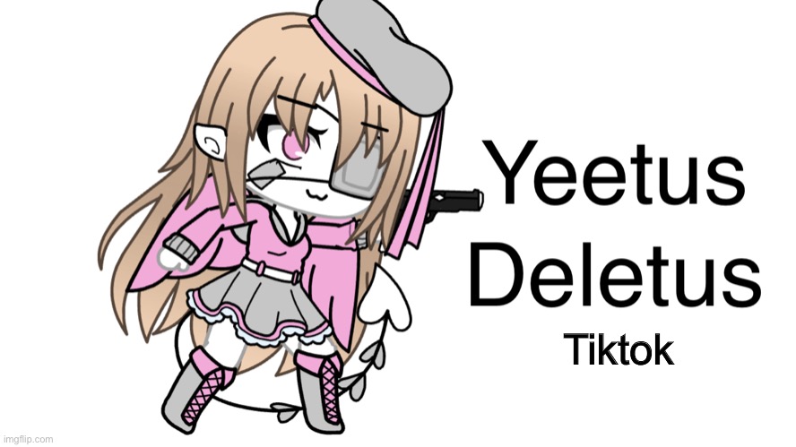 Yeetus deletus | Tiktok | image tagged in yeetus deletus | made w/ Imgflip meme maker