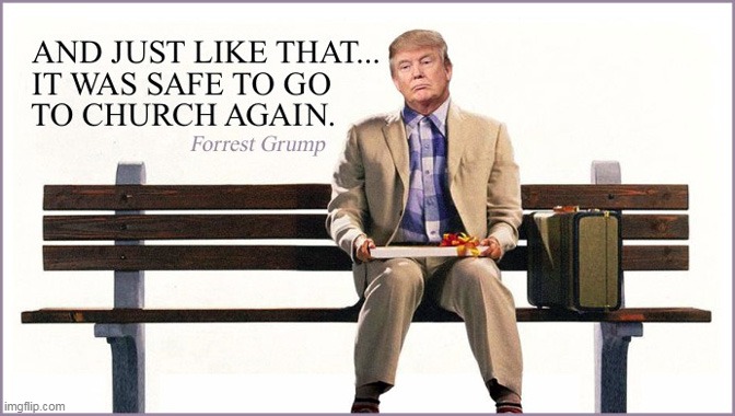 Stupid Is As Stupid Does? | image tagged in memes,donald trump,covid-19,politics,forrest gump | made w/ Imgflip meme maker