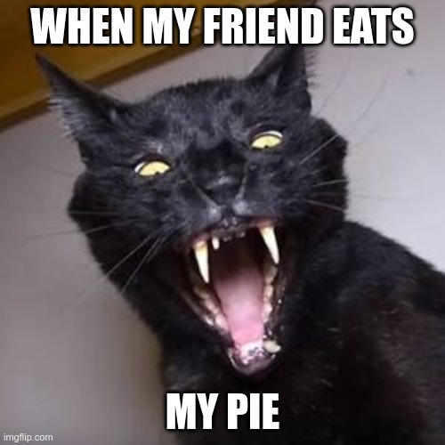 When my friend eats my pie | WHEN MY FRIEND EATS; MY PIE | image tagged in death kitten | made w/ Imgflip meme maker