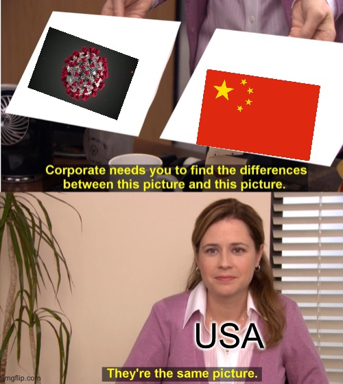 Communism | USA | image tagged in memes,they're the same picture | made w/ Imgflip meme maker