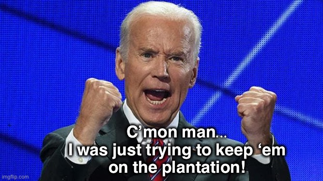 Once someone leaves the plantation, they ain’t coming back | C’mon man...
I was just trying to keep ‘em
on the plantation! | image tagged in joe biden fists angry | made w/ Imgflip meme maker