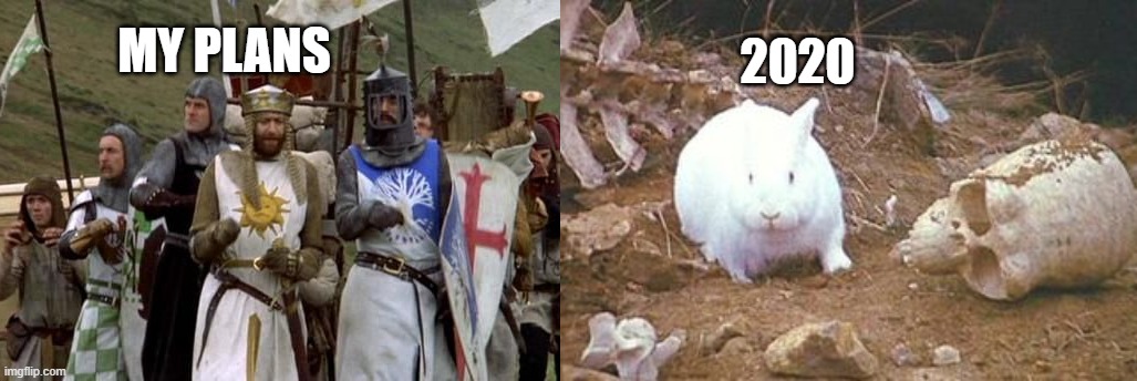 Rabbit of Caerbannog | 2020; MY PLANS | image tagged in monty python and the holy grail,meme | made w/ Imgflip meme maker