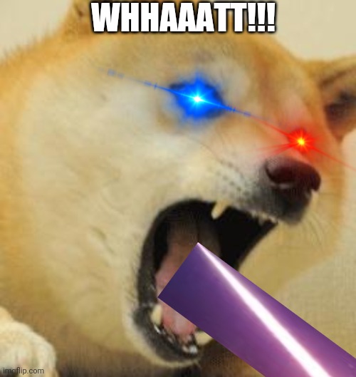 angry doge | WHHAAATT!!! | image tagged in angry doge | made w/ Imgflip meme maker