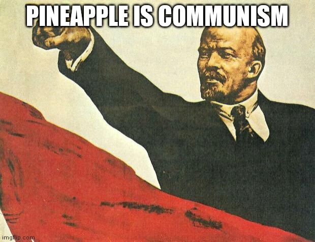 ...you're a communist | PINEAPPLE IS COMMUNISM | image tagged in you're a communist | made w/ Imgflip meme maker