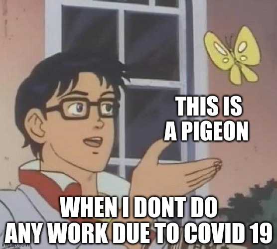 Is This A Pigeon Meme | THIS IS A PIGEON; WHEN I DONT DO ANY WORK DUE TO COVID 19 | image tagged in memes | made w/ Imgflip meme maker