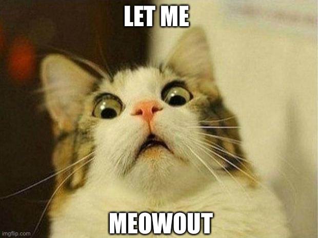 Scared Cat Meme | LET ME MEOWOUT | image tagged in memes,scared cat | made w/ Imgflip meme maker