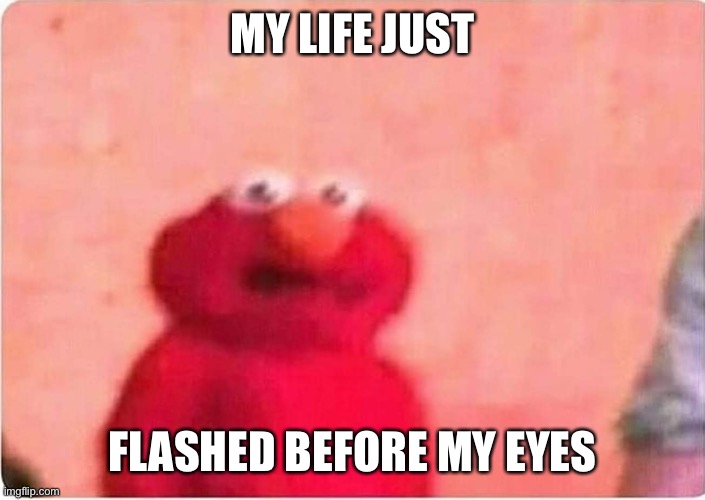 Sickened elmo | MY LIFE JUST FLASHED BEFORE MY EYES | image tagged in sickened elmo | made w/ Imgflip meme maker