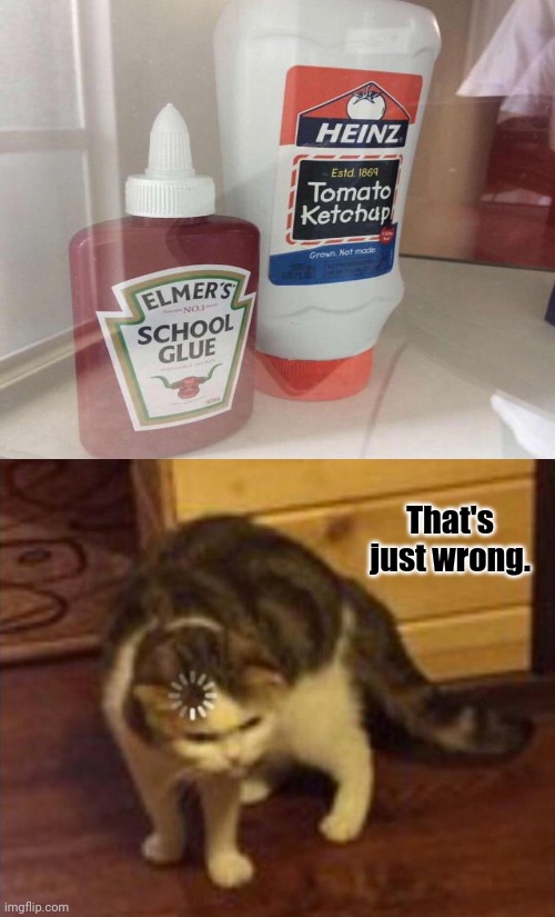 Elmer's ketchup glue and Heinz glue ketchup | That's just wrong. | image tagged in wrong,funny,ketchup,glue,memes,cursed image | made w/ Imgflip meme maker