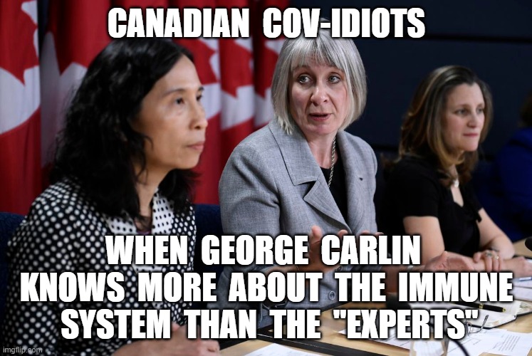 CANADIAN  COV-IDIOTS; WHEN  GEORGE  CARLIN  KNOWS  MORE  ABOUT  THE  IMMUNE  SYSTEM  THAN  THE  "EXPERTS" | image tagged in coronavirus,covid19,plandemic,hoax | made w/ Imgflip meme maker
