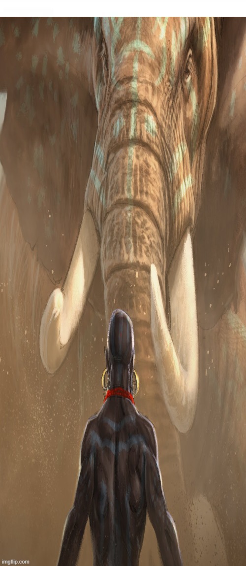 Next Level Naddom Exhibition Blank Meme Template