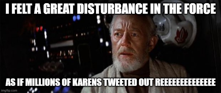 Obi-Wan disturbance force | I FELT A GREAT DISTURBANCE IN THE FORCE; AS IF MILLIONS OF KARENS TWEETED OUT REEEEEEEEEEEEEE | image tagged in obi-wan disturbance force | made w/ Imgflip meme maker