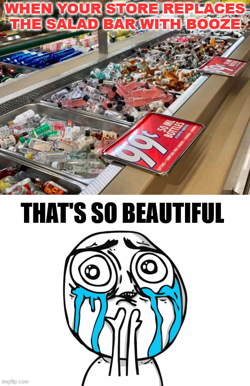 They know what we wanted during the shutdown. |  WHEN YOUR STORE REPLACES THE SALAD BAR WITH BOOZE; THAT'S SO BEAUTIFUL | image tagged in crying becauise it's so beautiful,booze,grocery store | made w/ Imgflip meme maker