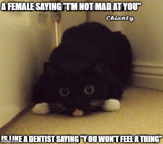 A Female | 𝓒𝓱𝓲𝓪𝓷𝓽𝔂; A FEMALE SAYING "I'M NOT MAD AT YOU"; IS LIKE A DENTIST SAYING "Y OU WON'T FEEL A THING" | image tagged in dentist | made w/ Imgflip meme maker