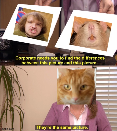 They're The Same Picture Meme - Imgflip