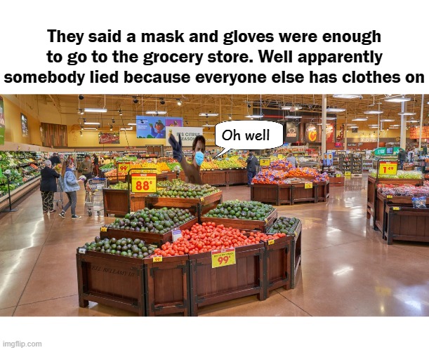 They said a mask and gloves were enough to go to the grocery store. Well apparently somebody lied because everyone else has clothes on; Oh well; COVELL BELLAMY III | image tagged in facemask and gloves grocery shopping | made w/ Imgflip meme maker