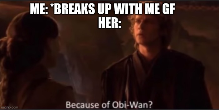 Because of Obi-Wan? | ME: *BREAKS UP WITH ME GF      
HER: | image tagged in because of obi-wan | made w/ Imgflip meme maker