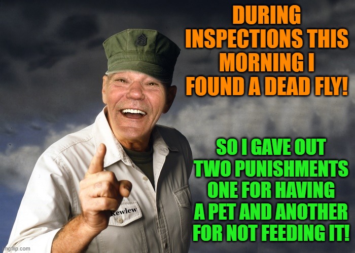 barracks inspection | DURING INSPECTIONS THIS MORNING I FOUND A DEAD FLY! SO I GAVE OUT TWO PUNISHMENTS ONE FOR HAVING A PET AND ANOTHER FOR NOT FEEDING IT! | image tagged in kewlew,dead fly | made w/ Imgflip meme maker