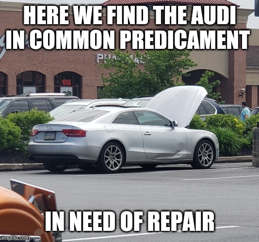 HERE WE FIND THE AUDI IN COMMON PREDICAMENT; IN NEED OF REPAIR | image tagged in audi | made w/ Imgflip meme maker