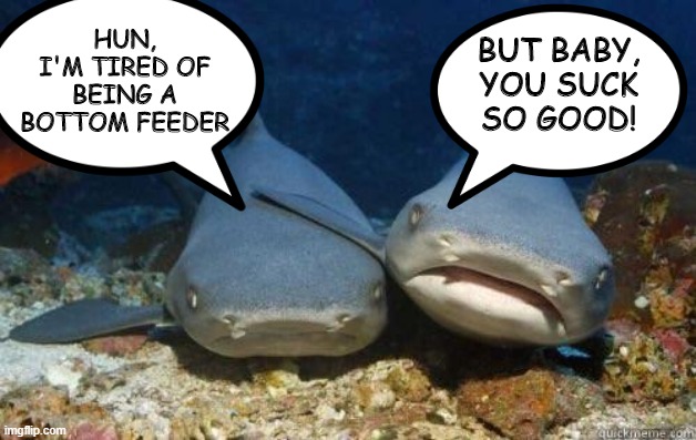 Bottom Shark | BUT BABY, YOU SUCK SO GOOD! HUN, I'M TIRED OF BEING A BOTTOM FEEDER | image tagged in nurse sharks | made w/ Imgflip meme maker