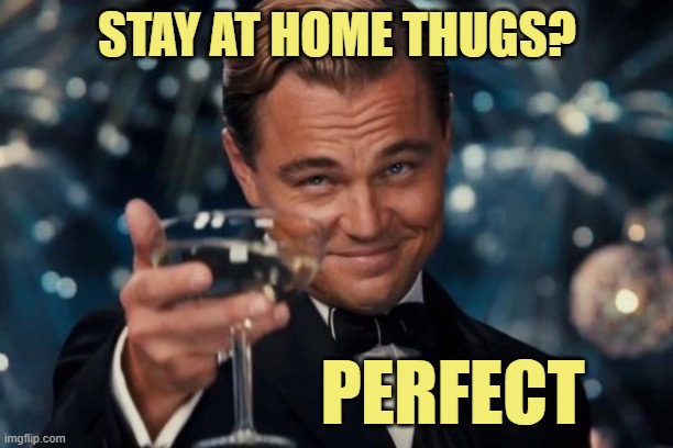 Leonardo Dicaprio Cheers Meme | STAY AT HOME THUGS? PERFECT | image tagged in memes,leonardo dicaprio cheers | made w/ Imgflip meme maker