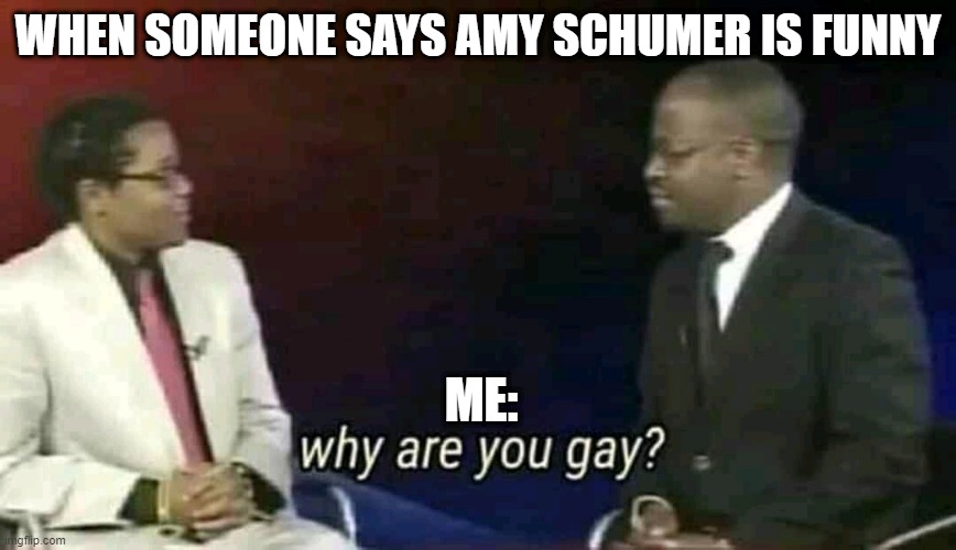 Why are you gay? | WHEN SOMEONE SAYS AMY SCHUMER IS FUNNY; ME: | image tagged in why are you gay | made w/ Imgflip meme maker