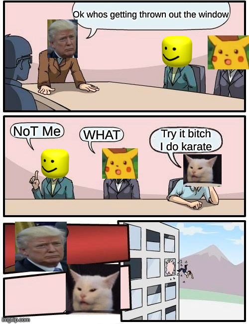 Boardroom Meeting Suggestion Meme | Ok whos getting thrown out the window; NoT Me; WHAT; Try it bitch I do karate | image tagged in memes,boardroom meeting suggestion | made w/ Imgflip meme maker