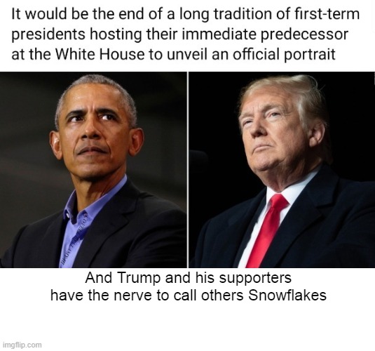COVELL BELLAMY III; And Trump and his supporters have the nerve to call others Snowflakes | image tagged in trump and supporter have the nerve to call others snowflakes | made w/ Imgflip meme maker