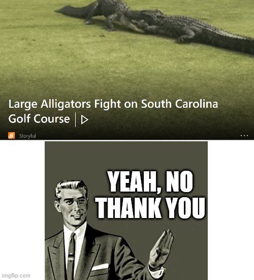 Nope | YEAH, NO THANK YOU | image tagged in alligator,nope | made w/ Imgflip meme maker