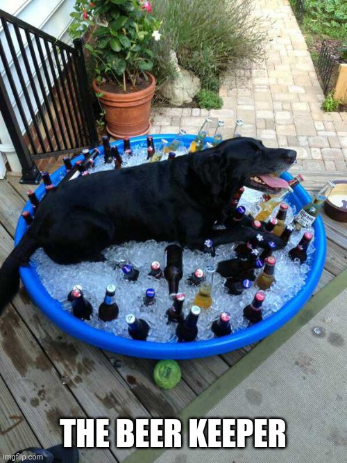 STAYING COOL | THE BEER KEEPER | image tagged in dogs,dog | made w/ Imgflip meme maker