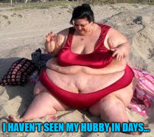 Fat lady | I HAVEN'T SEEN MY HUBBY IN DAYS... | image tagged in fat lady | made w/ Imgflip meme maker