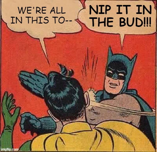 Covid-19 Exasperation | NIP IT IN THE BUD!!! WE'RE ALL IN THIS TO-- | image tagged in memes,batman slapping robin,coronavirus | made w/ Imgflip meme maker