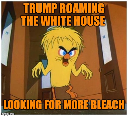 TRUMP ROAMING THE WHITE HOUSE LOOKING FOR MORE BLEACH | made w/ Imgflip meme maker