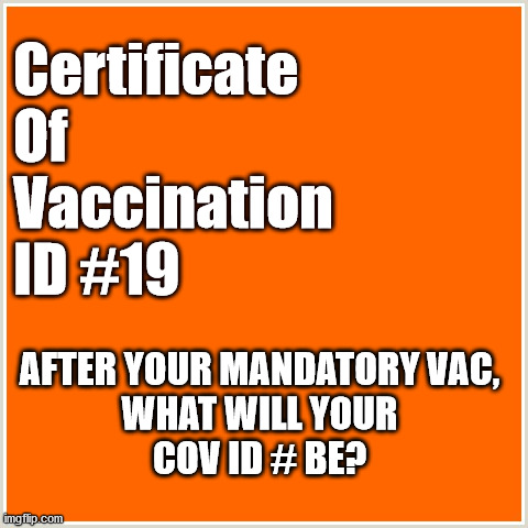 COV ID Manatory Vaccine ID (ab) | Certificate 
Of
Vaccination 
ID #19; AFTER YOUR MANDATORY VAC,
WHAT WILL YOUR
COV ID # BE? | image tagged in covid19,coronavirus,billgates,mandatoryvaccine,microchip,vaccination | made w/ Imgflip meme maker