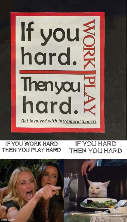 IF YOU HARD THEN YOU HARD; IF YOU WORK HARD THEN YOU PLAY HARD | image tagged in memes,woman yelling at cat | made w/ Imgflip meme maker