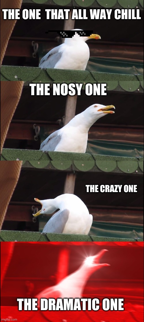 meet the seagull  family | THE ONE  THAT ALL WAY CHILL; THE NOSY ONE; THE CRAZY ONE; THE DRAMATIC ONE | image tagged in memes,inhaling seagull | made w/ Imgflip meme maker