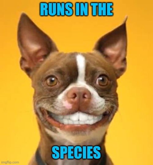 RUNS IN THE SPECIES | made w/ Imgflip meme maker