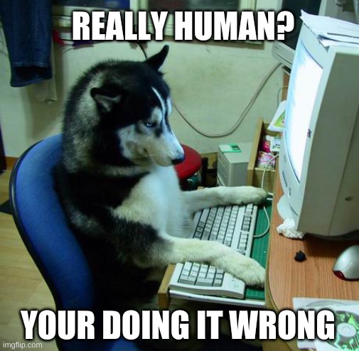 I Have No Idea What I Am Doing Meme | REALLY HUMAN? YOUR DOING IT WRONG | image tagged in memes,i have no idea what i am doing | made w/ Imgflip meme maker