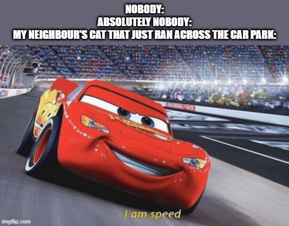 I am speed | NOBODY:
ABSOLUTELY NOBODY:
MY NEIGHBOUR'S CAT THAT JUST RAN ACROSS THE CAR PARK: | image tagged in i am speed,cat,neighbour | made w/ Imgflip meme maker
