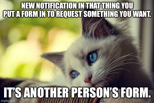 PH in a nutshell | NEW NOTIFICATION IN THAT THING YOU PUT A FORM IN TO REQUEST SOMETHING YOU WANT. IT’S ANOTHER PERSON’S FORM. | image tagged in memes,first world problems cat,pokeheroes,rip | made w/ Imgflip meme maker