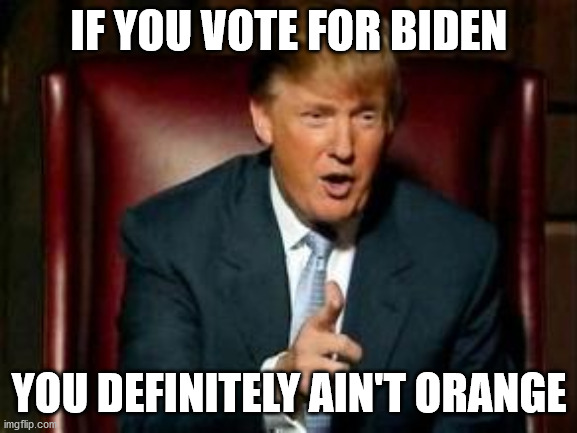 YOU AIN'T ORANGE | IF YOU VOTE FOR BIDEN; YOU DEFINITELY AIN'T ORANGE | image tagged in donald trump,meme,orange,politics | made w/ Imgflip meme maker
