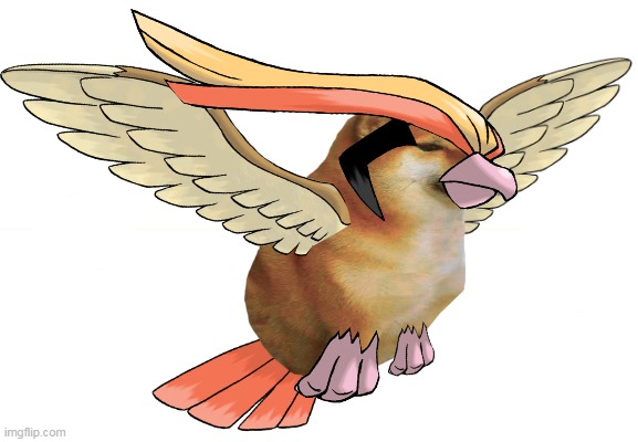 "Regional Bird of Kanto" | image tagged in pokemon,funny pokemon,pokemon memes,doge,pokemon oras,who is that pokemon | made w/ Imgflip meme maker