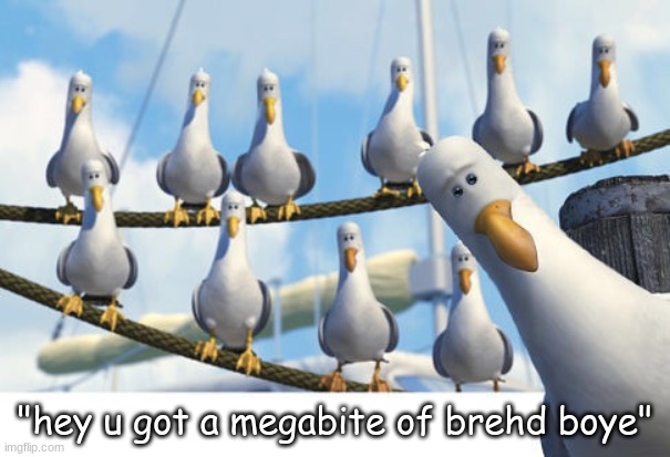 i'm not sure | "hey u got a megabite of brehd boye" | image tagged in finding nemo seagulls | made w/ Imgflip meme maker