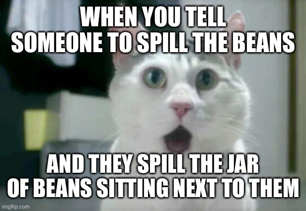 OMG Cat Meme | WHEN YOU TELL SOMEONE TO SPILL THE BEANS; AND THEY SPILL THE JAR OF BEANS SITTING NEXT TO THEM | image tagged in memes,omg cat | made w/ Imgflip meme maker