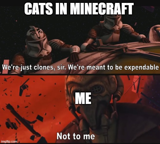 Not to me | CATS IN MINECRAFT; ME | image tagged in not to me | made w/ Imgflip meme maker