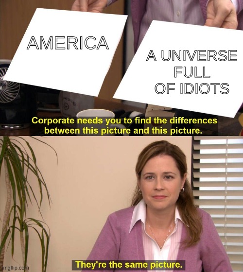 They are the same picture | A UNIVERSE FULL OF IDIOTS; AMERICA | image tagged in they are the same picture | made w/ Imgflip meme maker