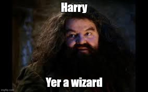 hagrid yer a wizard | Harry Yer a wizard | image tagged in hagrid yer a wizard | made w/ Imgflip meme maker